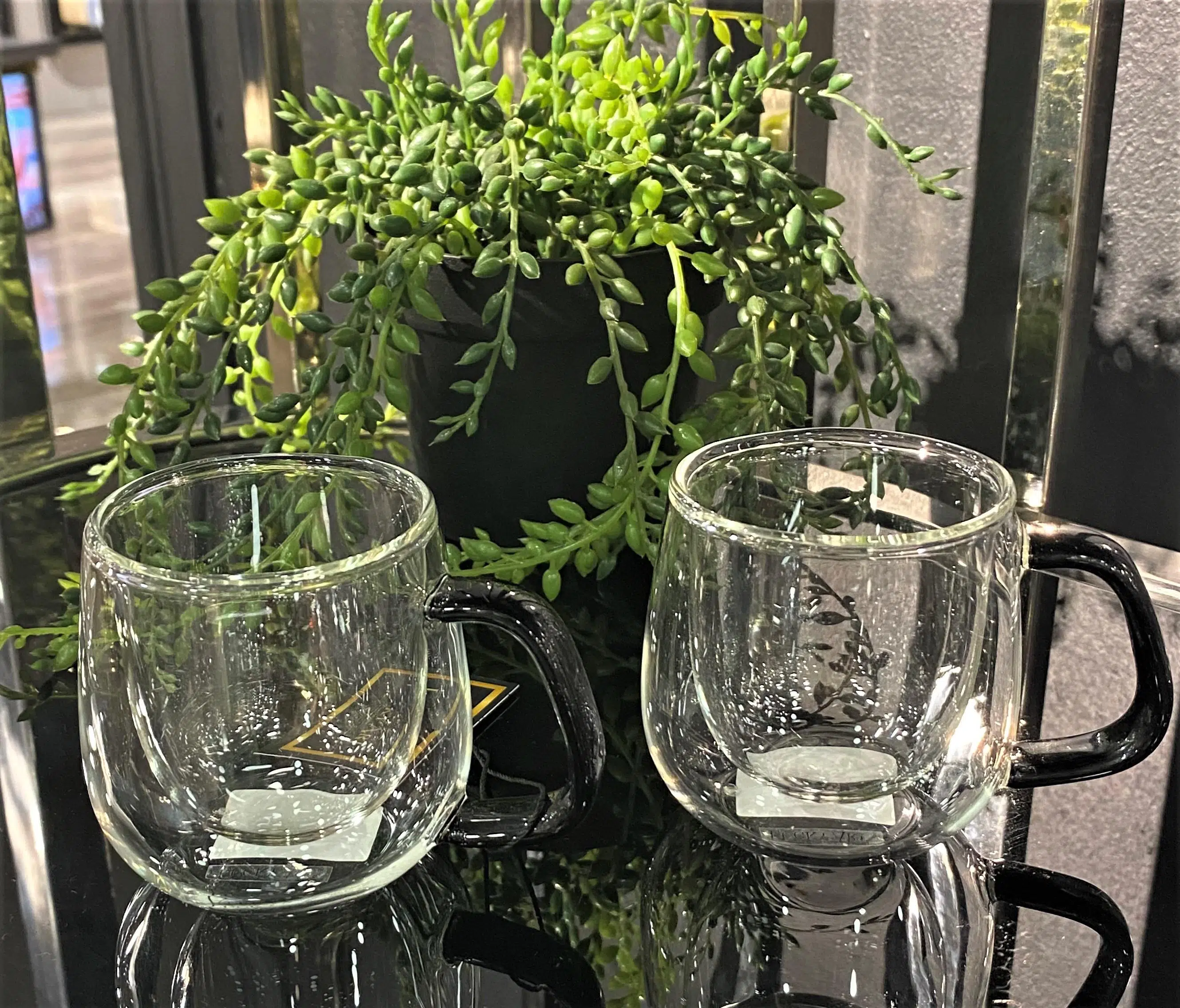 Lyhl 002 Classica 100 Ml Çift Çidarlı Borasilica 2'Li Espresso Bardak Seti