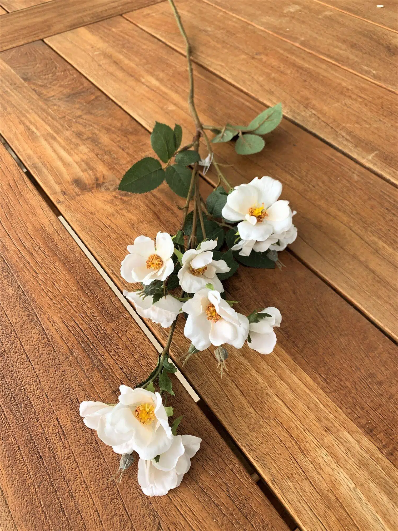 Rx 019 Cre Krem Gelincik Dalı